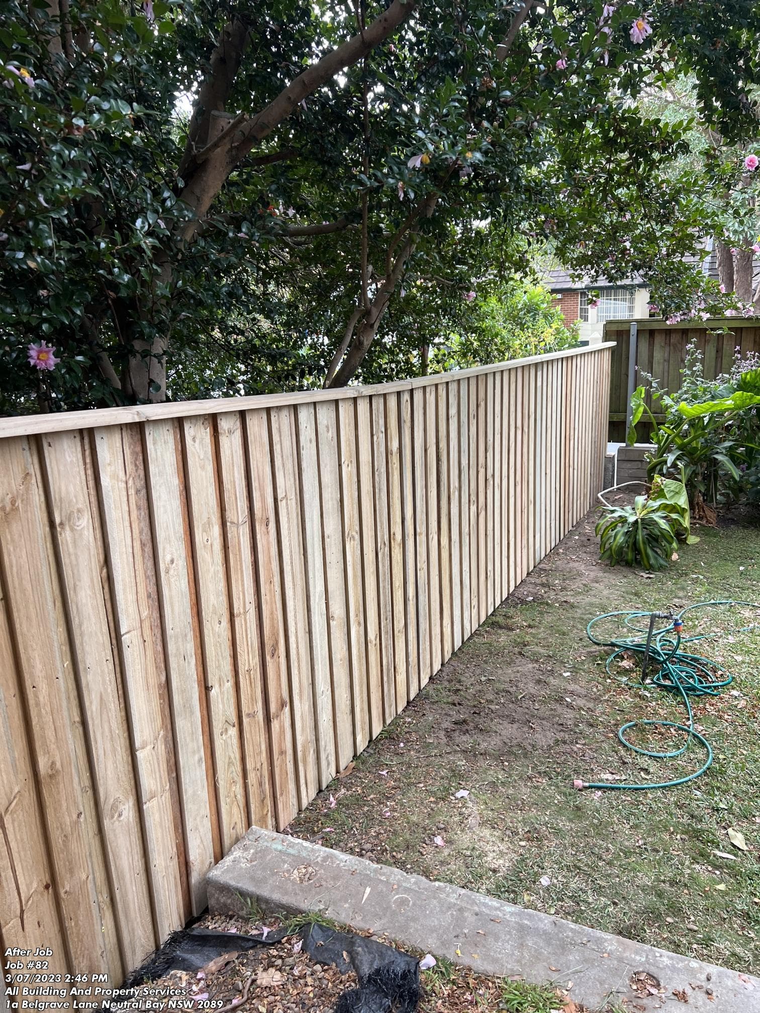 Timber Fence 6