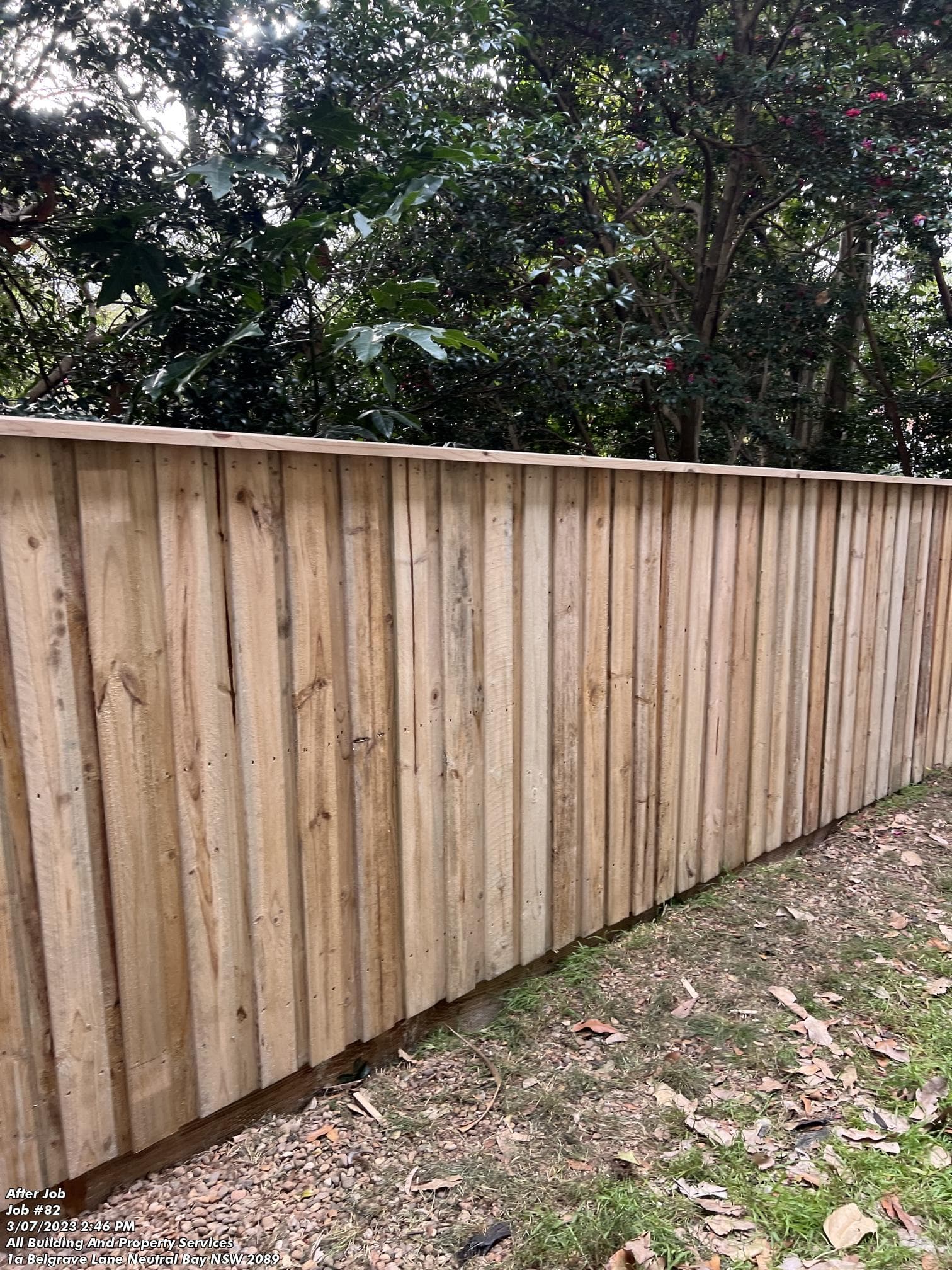 Timber Fence 7