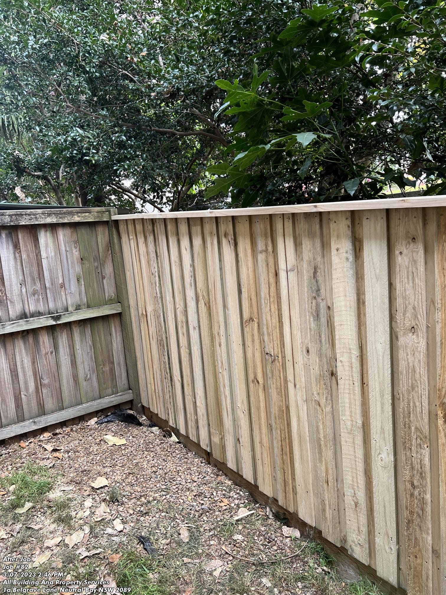 Timber Fence 8