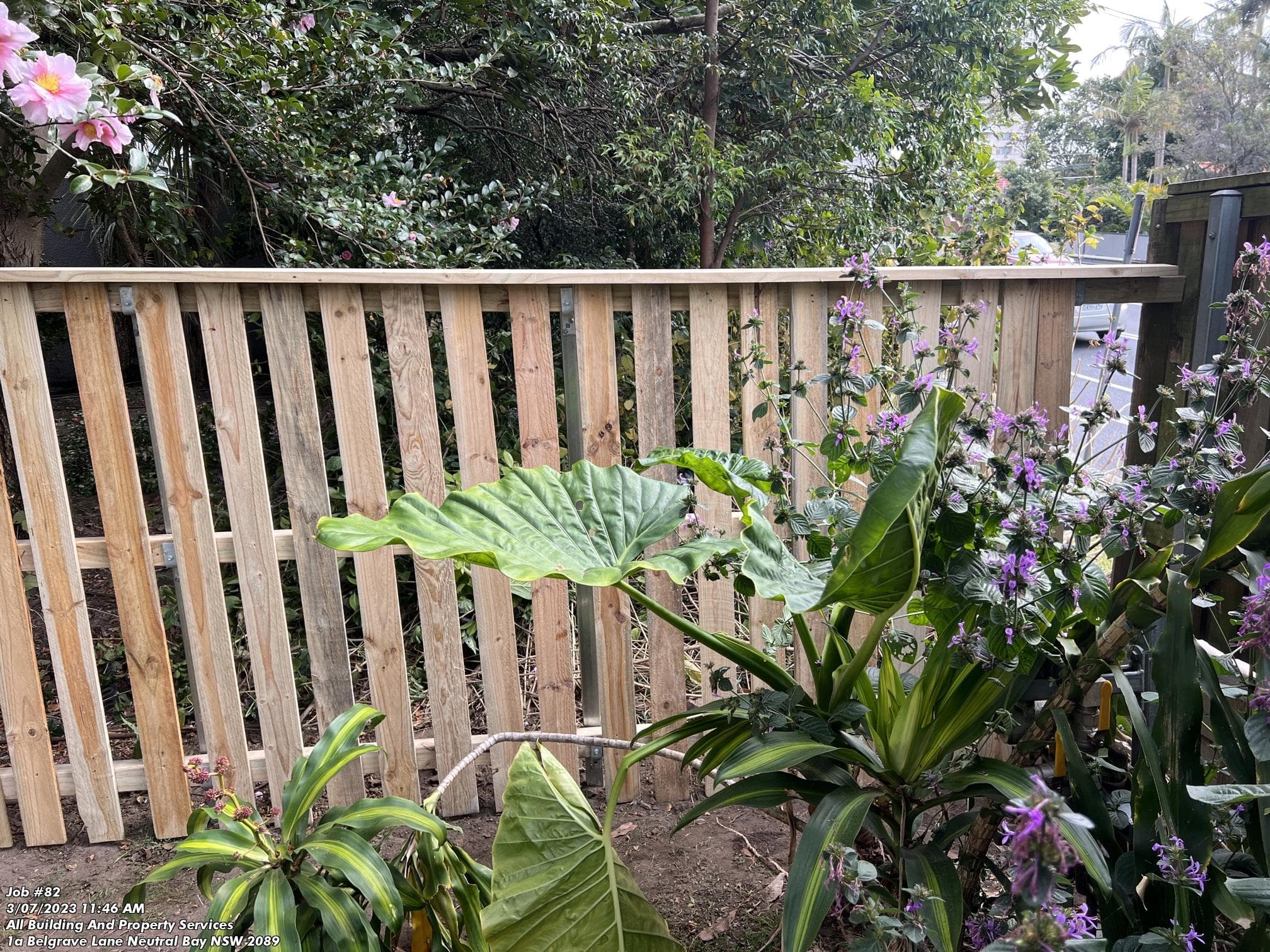 Timber Fence 14